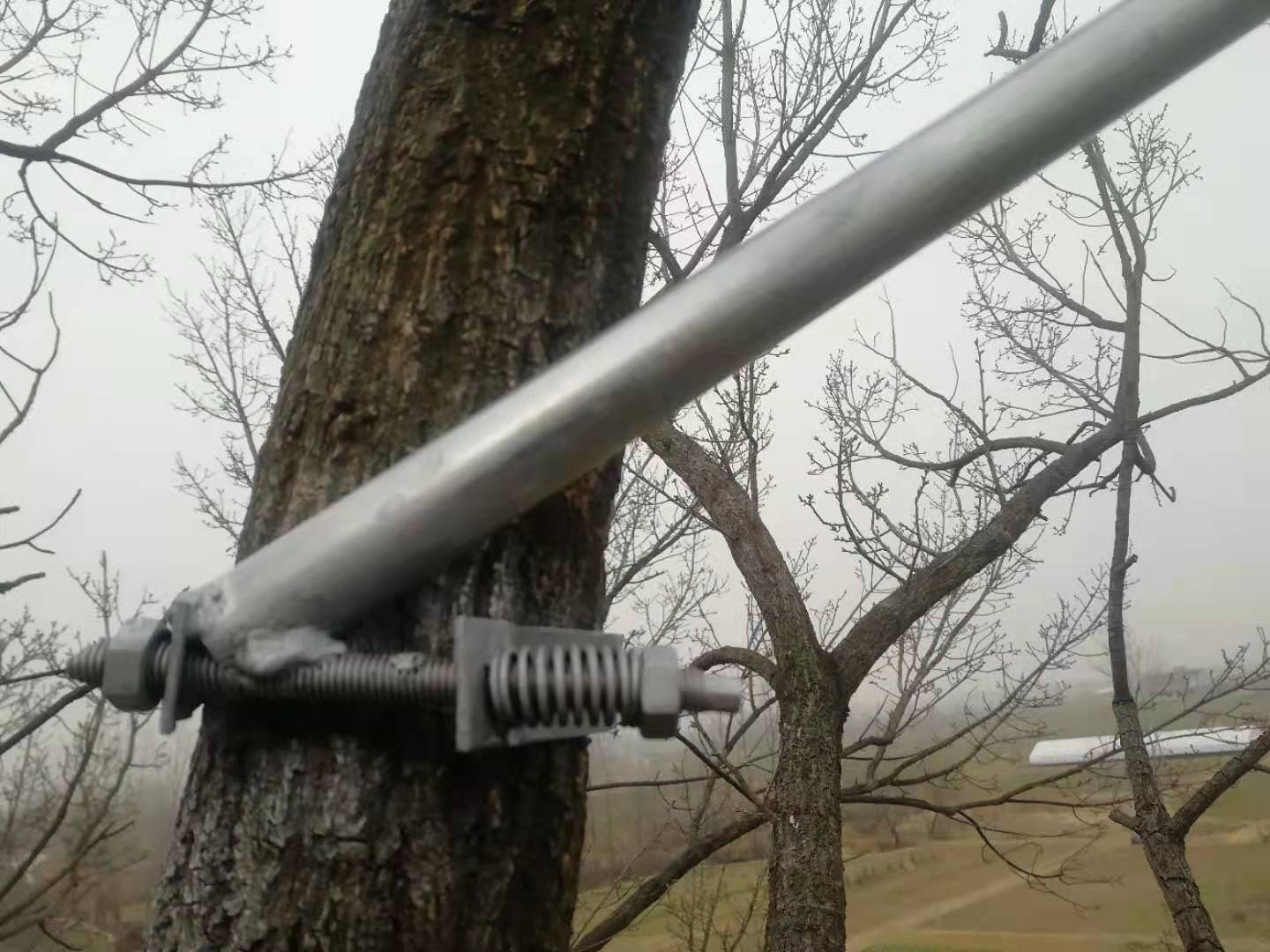 古樹(shù)防雷施工怎么做